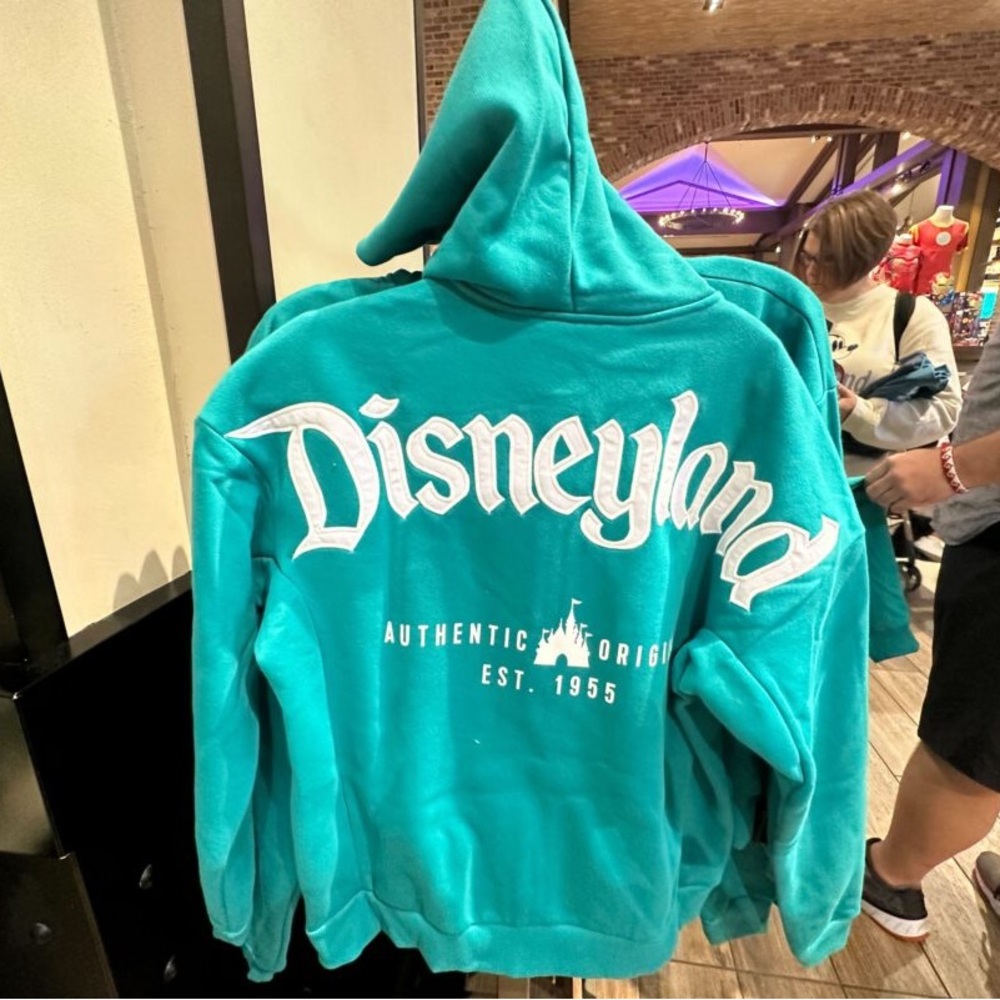 Disneyland Zip Up Hoodie- Teal XL